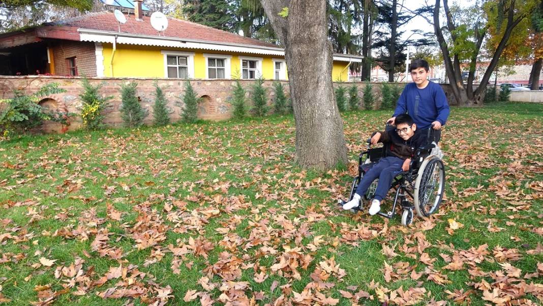 Instagram paylaşımları için sonbahar yapraklarının süpürülmesi yasaklandı 6